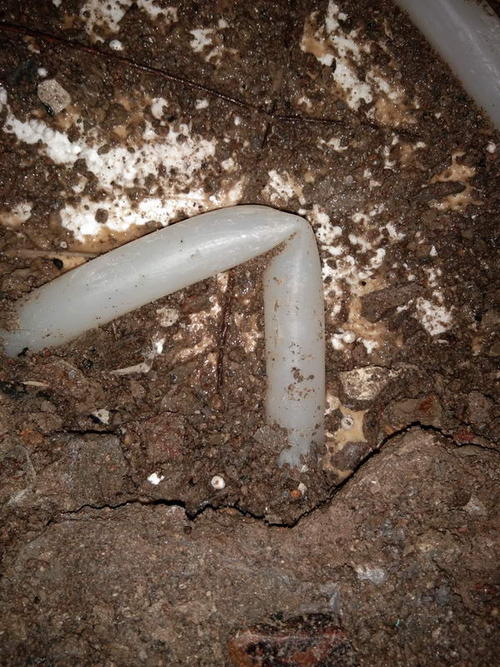 道滘镇堵点精准查找